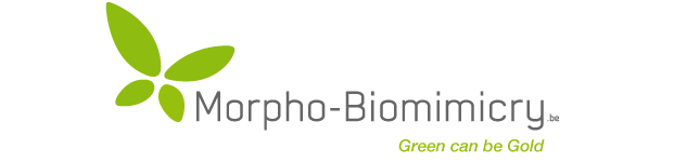 morpho-biomimicry